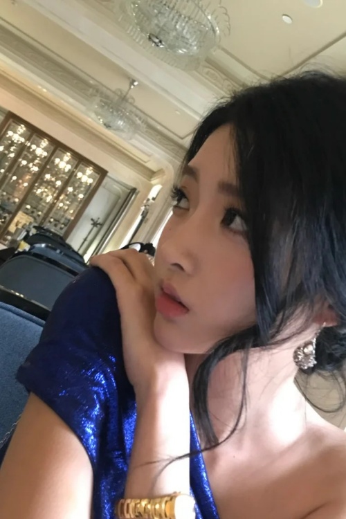 高级茶艺师陈文